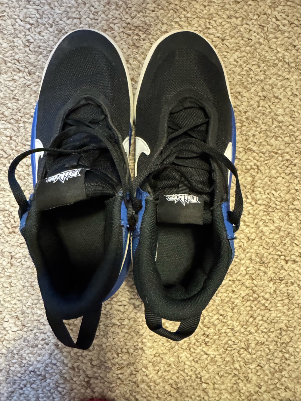 EUC Nike Hustle Basketball Ball Shoes